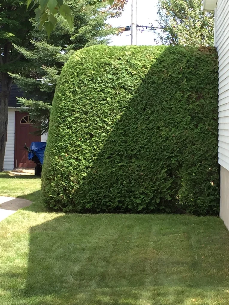 Entretien saisonnier complet